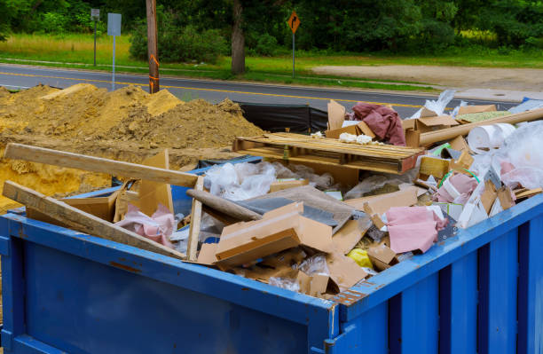 Best Shed Removal  in Dewitt, MI